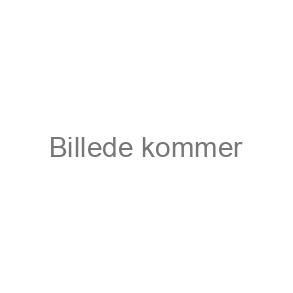 Lygter